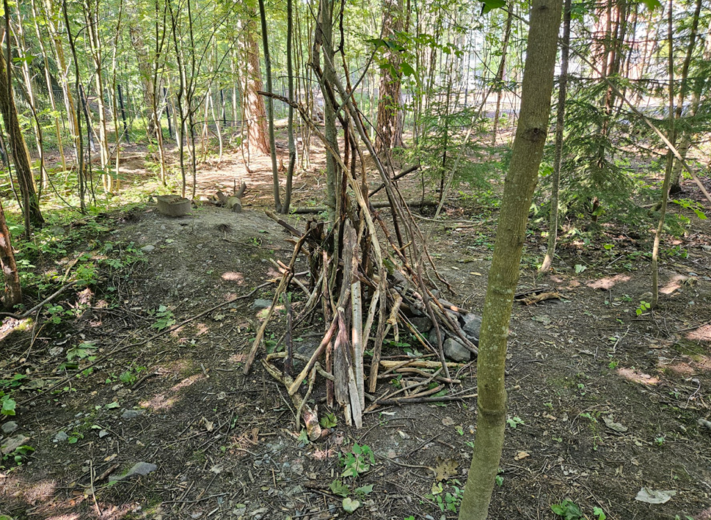 Metsä leikki